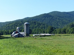 Farm, Stockbridge