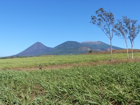 Four Volcanos Complex