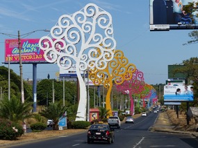 Weird Metal Trees All Over Managua