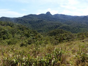 Western Cordillera Central