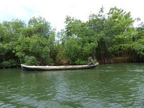 Mangrove Swamp to get to Sailboat