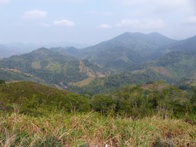 Former Coca Plantations
