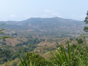 Near Mamey, Day 1