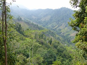 Near Mamey, Day 1