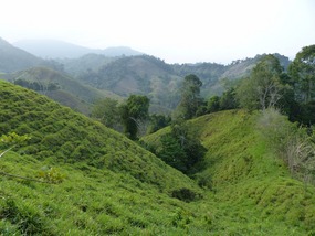Hills and Vales, Day 1