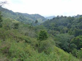 Near Mamey, Day 1