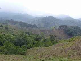 Near Mamey, Day 1