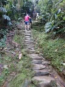 1,200 Steps to The Lost City
