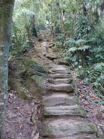 1,200 Steps to The Lost City