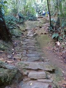 1,200 Steps to The Lost City