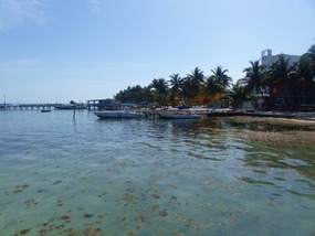 Caye Caulker