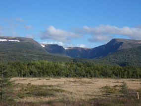 Codroy Valley