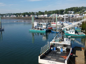 Digby Harbour