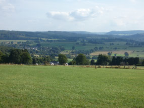 Ardennes near Vielsalm