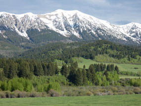 Bridger Range
