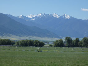 ATobacco ROot Mountains from Jefferson Valley