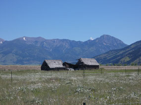 Abandoned Farmstead north of Bozeman
