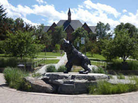 MSU Bobcat