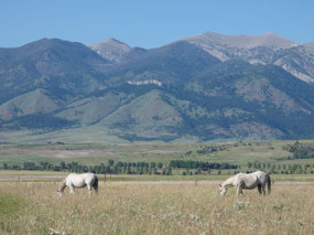 North Gallatin Valley