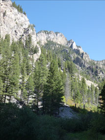 Trout Creek Canyon