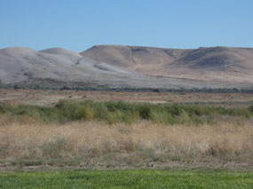 Bruneau Sand Dunes State Park