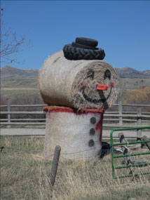 Hayman - Much more permanent than Snowman