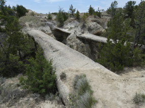 Natural Bridges
