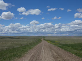 Road to Nowhere