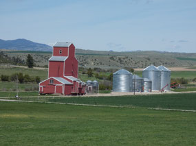 Farm near Menard