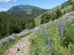 Highwood Mountains