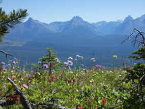 Peaks of Glacier