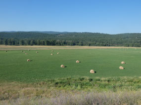 Tobacco Flats Valley