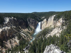 Grand Canyon of the Yellowstone w Lower Falls