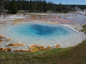 Silex Spring, Lower Geyser Basin
