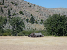 Abandoned Cabin near Pony
