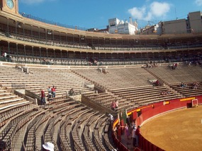 Nearly Empty Bull RIng