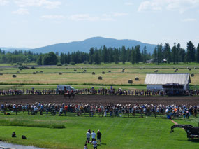 Rodeo on Big Mountain Ranch Grounds