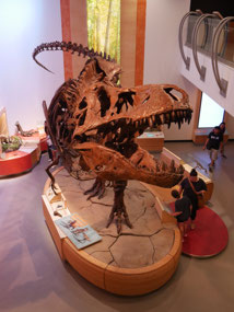 Scotty - WOrld's Largest T-Rex