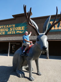 Jackalope Jockey