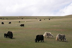 Bayan-Olgi Province, Mongolia