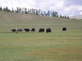 Khovsgol Lake, Mongolia