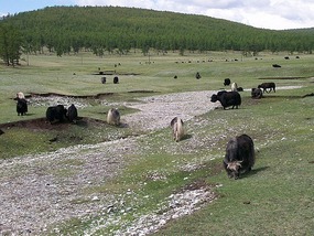 Khovsgol Lake, Mongolia