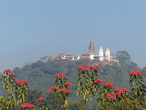 Swayambhunath Temple