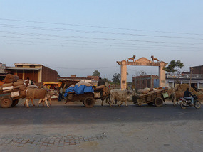 North of Gorakhpur