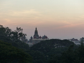 Mysore Duck