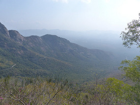 Road up the Mountain