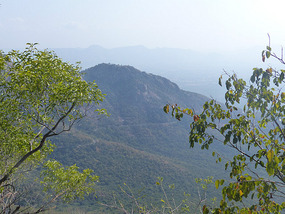 Road up the Mountain