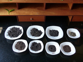 Types of Teas, near Gampola