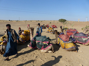 Camel Trek