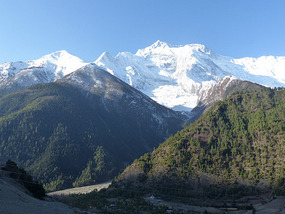 Morning view from my window in Upper Pisang